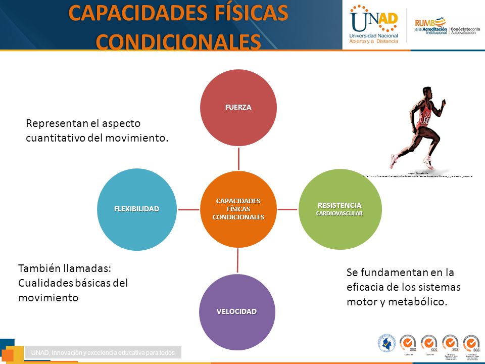 Flexibilidad condicionales resistencia fisicas capacidades fuerza velocidad y